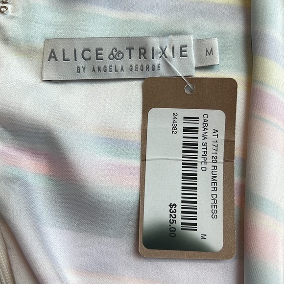 NWT’S Alice and Trixie 100% silk fully lined V-neck Midi neon striped dress SZ M - Picture 8 of 10